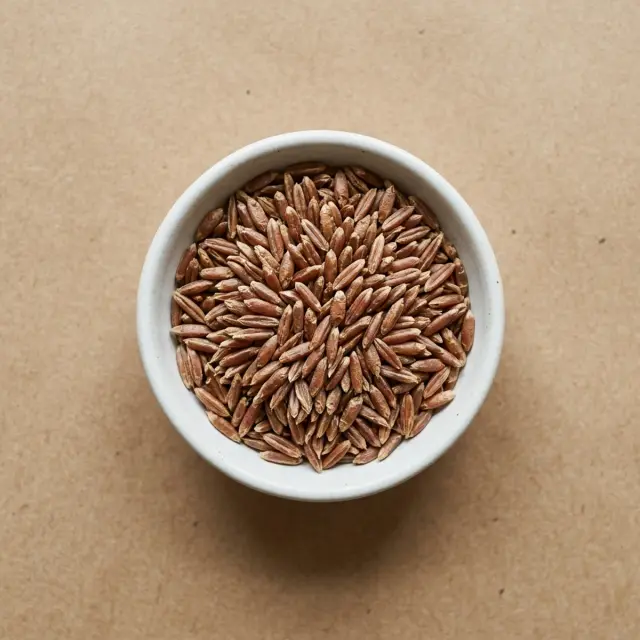 Khapli (emmer) grains in a bowl