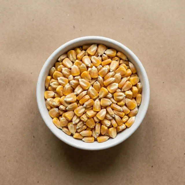 Maize (makki) grains
