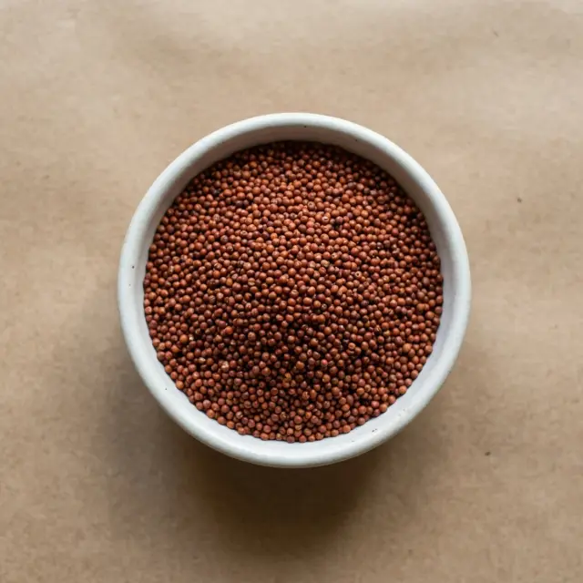 Ragi grains in a bowl